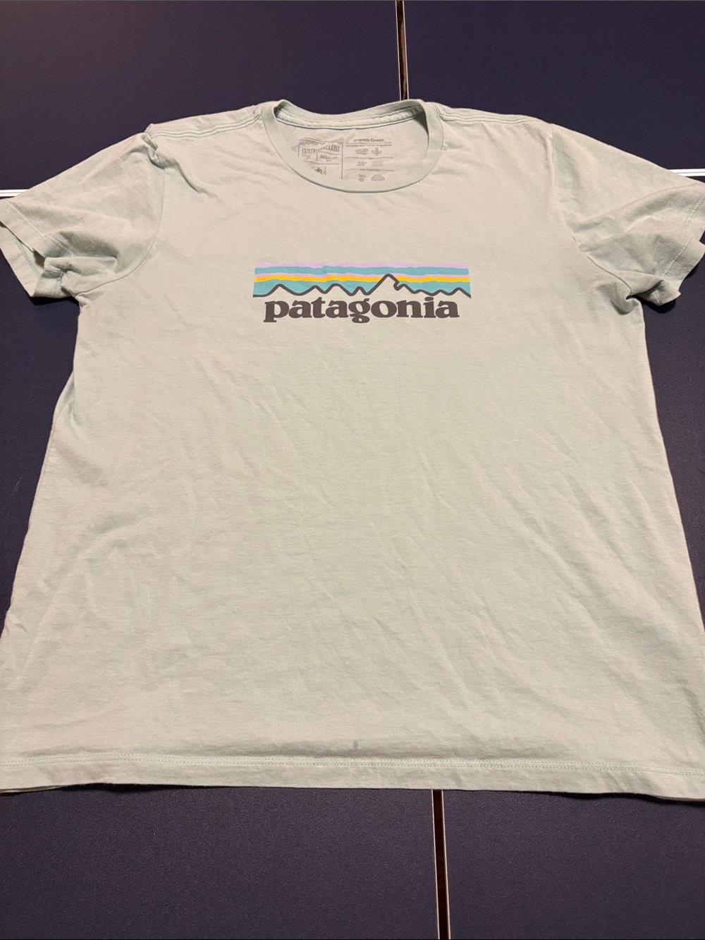 Patagonia Light Mint Crewneck Logo Tee